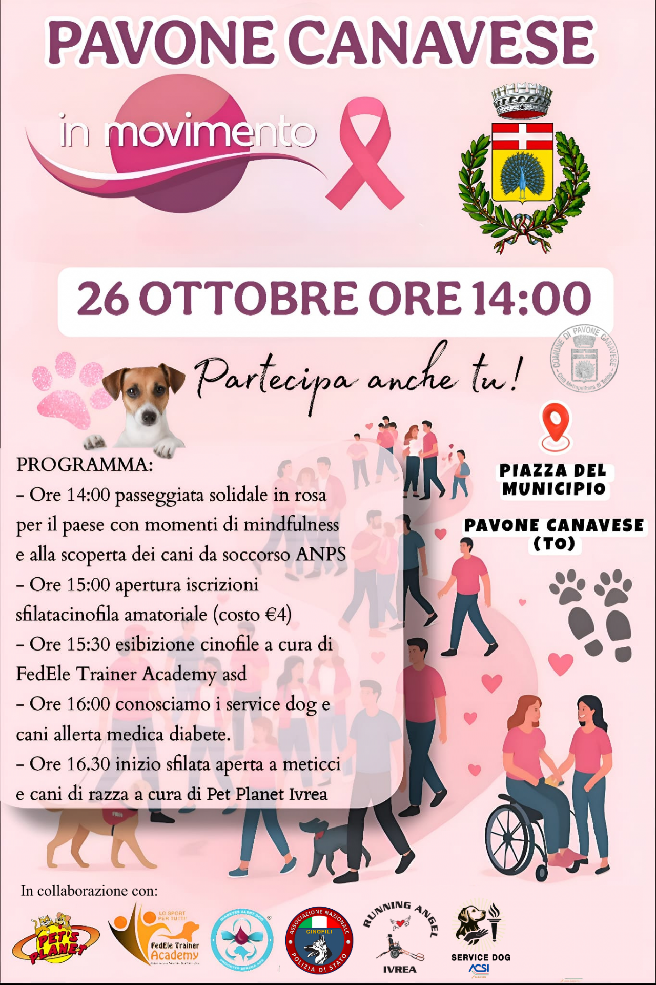 Locandina Pavone in Movimento
