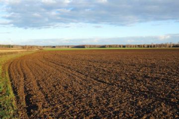 Ristoro dei danni alle attività economiche e produttive a seguito degli eccezionali eventi meteorologici verificatisi nel 2024